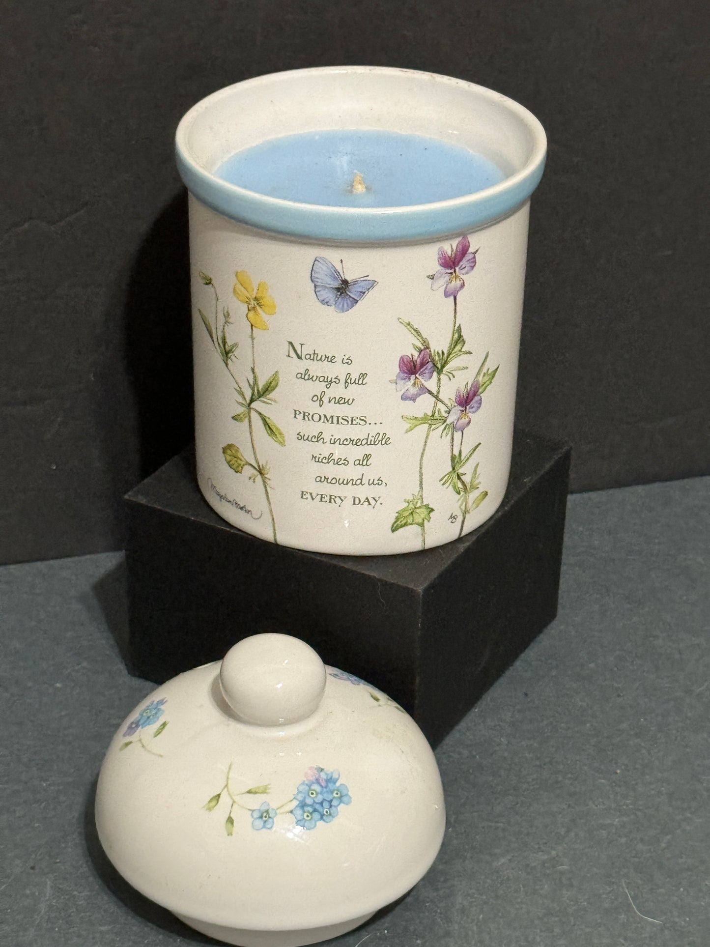 Nature's Sketchbook Candle by Marjolein Bostin Hallmark - Vintage