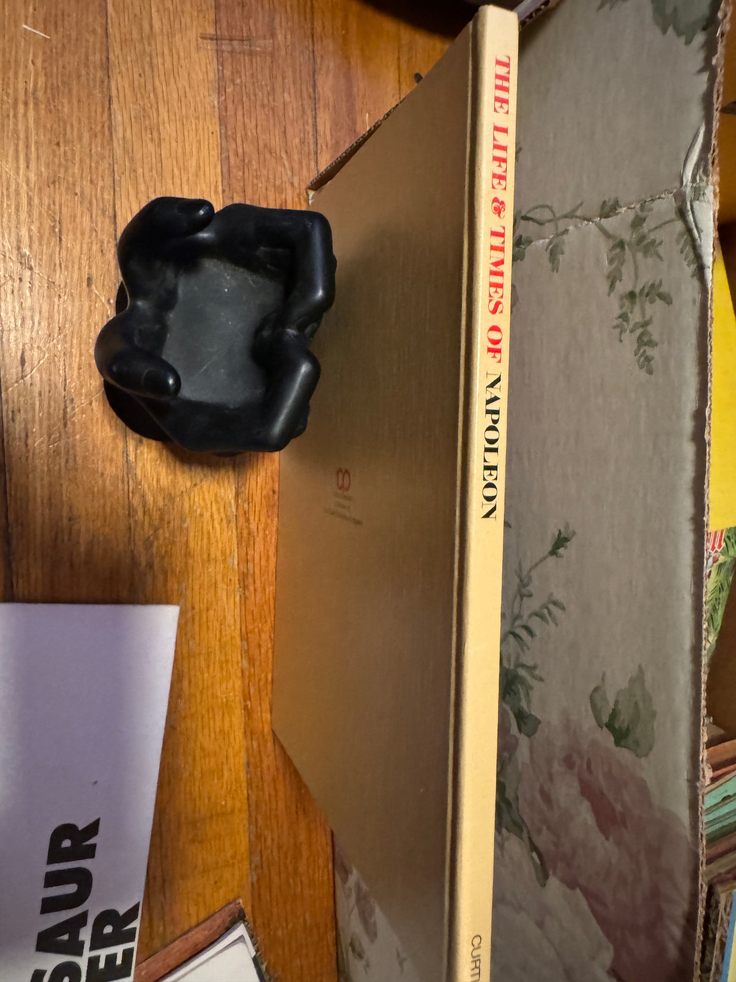 Life & Times of Napoleon HC 1967