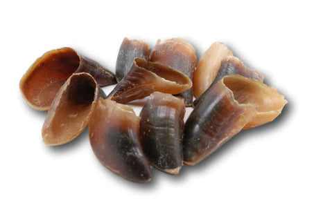 Beef Hoof - Natural