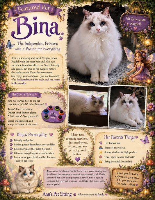 Bina Independent Princess