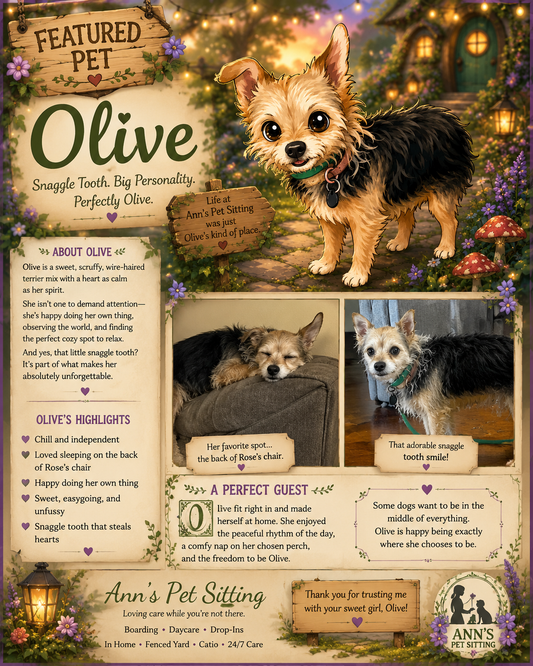 Snaggle Tooth Olive - A Perfect Guest