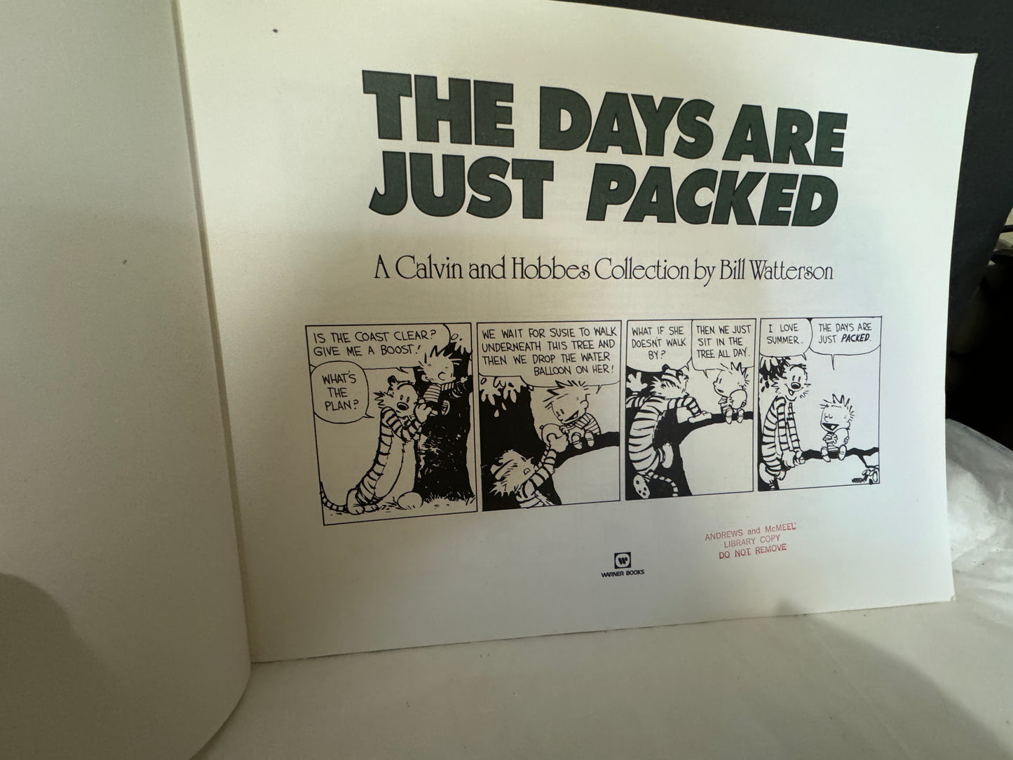 Calvin and Hobbes The Days Are Just Packed by William Watterson