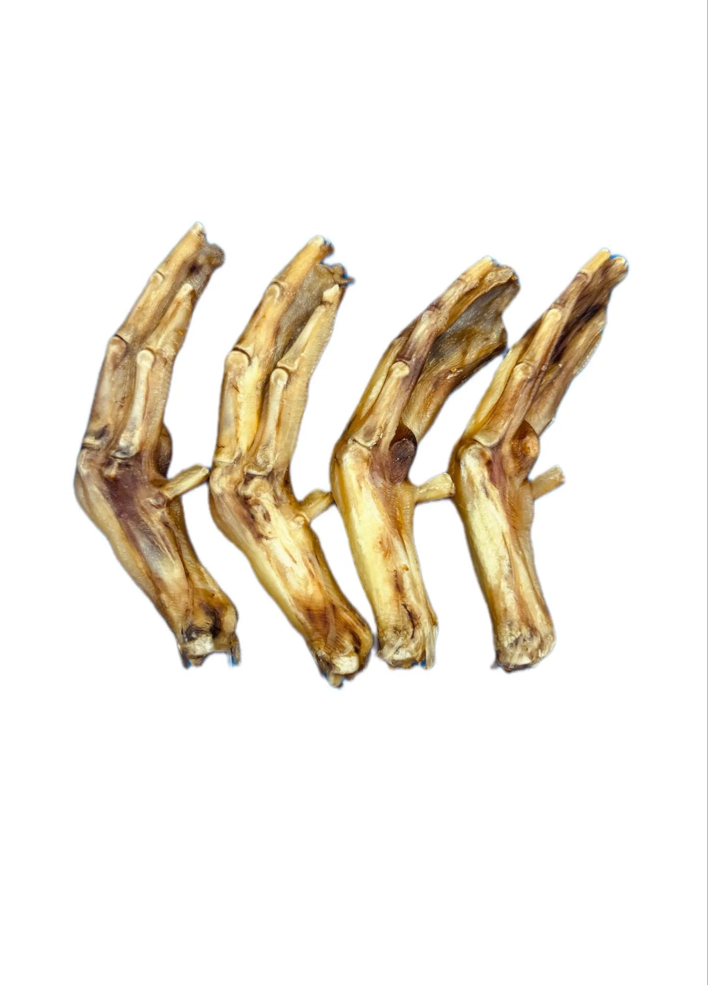 Duck Feet